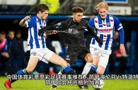 泰山队内部,揭秘,瓦科留队形,彩娱乐,娱乐网站平台,体育娱乐服务,在线互动娱乐,安全娱乐平台